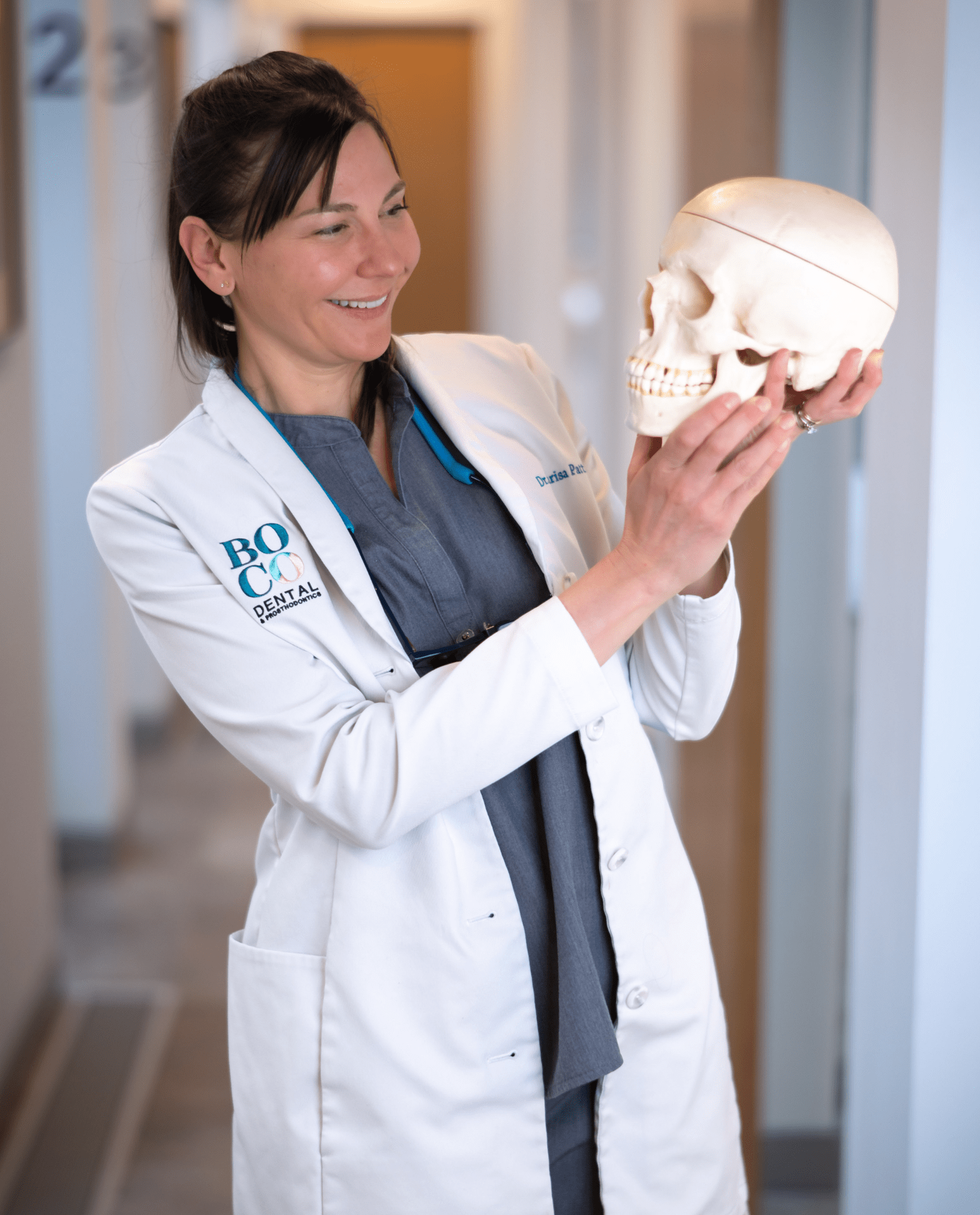 Dental professional in white coat looking at a model of a skeleton skull.